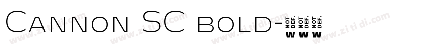 Cannon SC bold字体转换